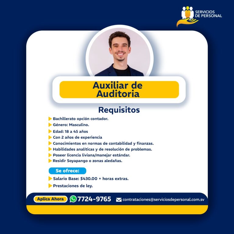 AUXILIAR AUDITORIA